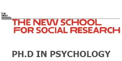 phd felipe muller at new school for social research #nssr #felipemuller #professionalstudies #professionalexperience #professionalbackground